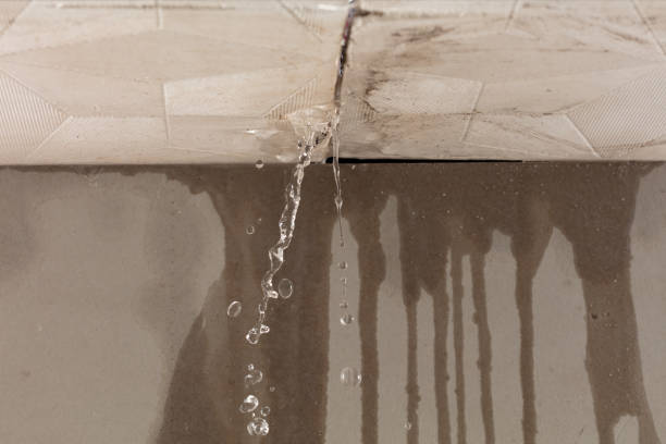 Professional Structural Drying technician working in Horse Shoe, NC
